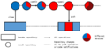 Thumbnail for version as of 15:11, 18 August 2022